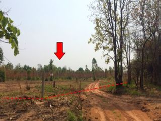 For sale land in Mueang Chaiyaphum, Chaiyaphum