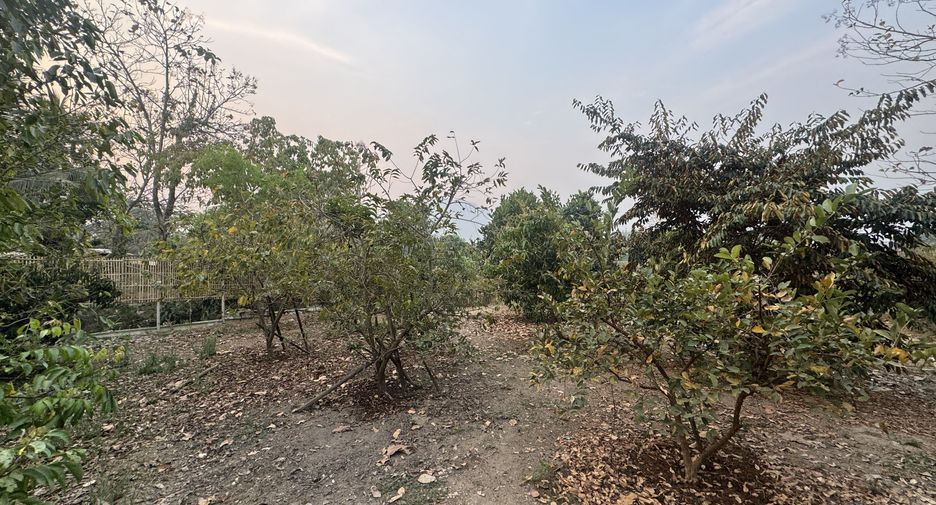 For sale 4 bed house in Mae On, Chiang Mai