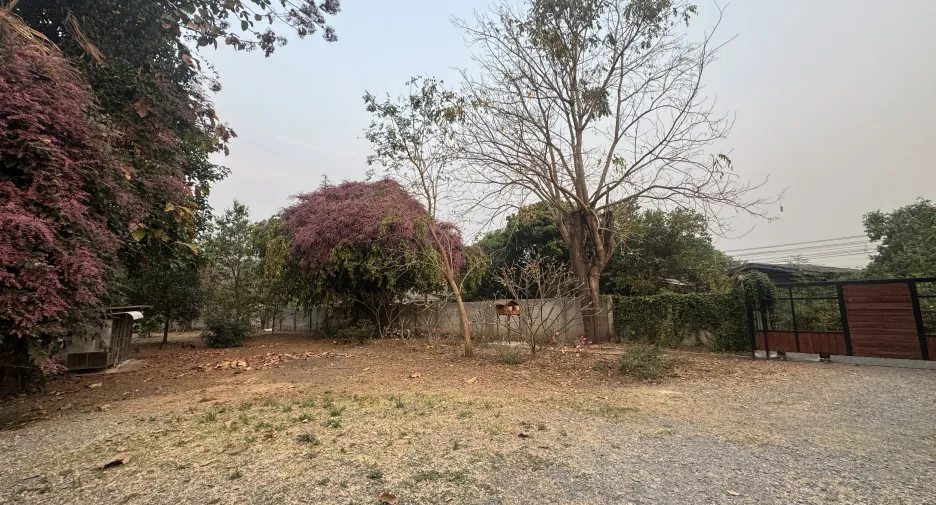 For sale 4 bed house in Mae On, Chiang Mai