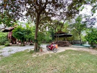 出售 土地 在 San Pa Tong, Chiang Mai