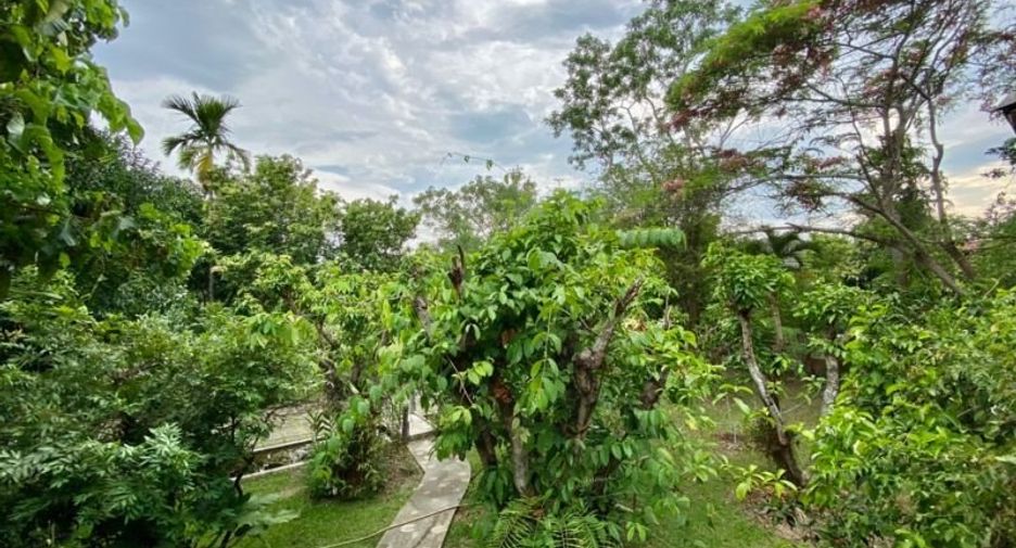 Grundstück zum Kauf in San Pa Tong, Chiang Mai