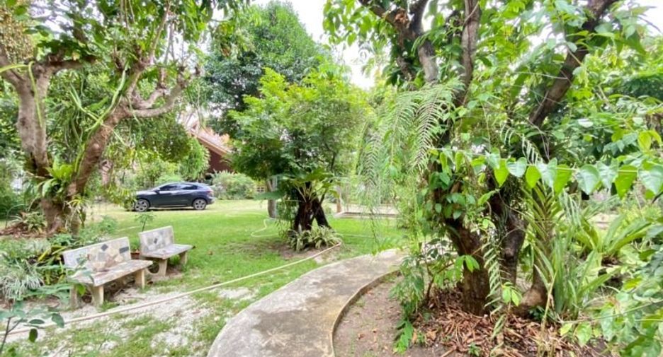 Grundstück zum Kauf in San Pa Tong, Chiang Mai