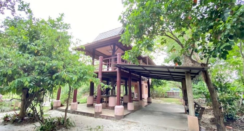 Grundstück zum Kauf in San Pa Tong, Chiang Mai