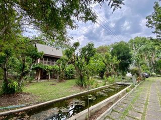 出售 土地 在 San Pa Tong, Chiang Mai