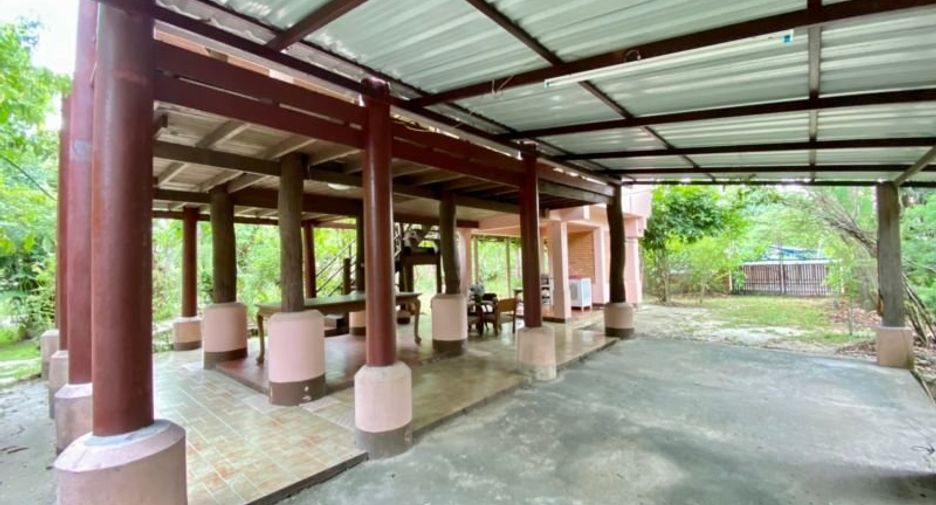 Grundstück zum Kauf in San Pa Tong, Chiang Mai