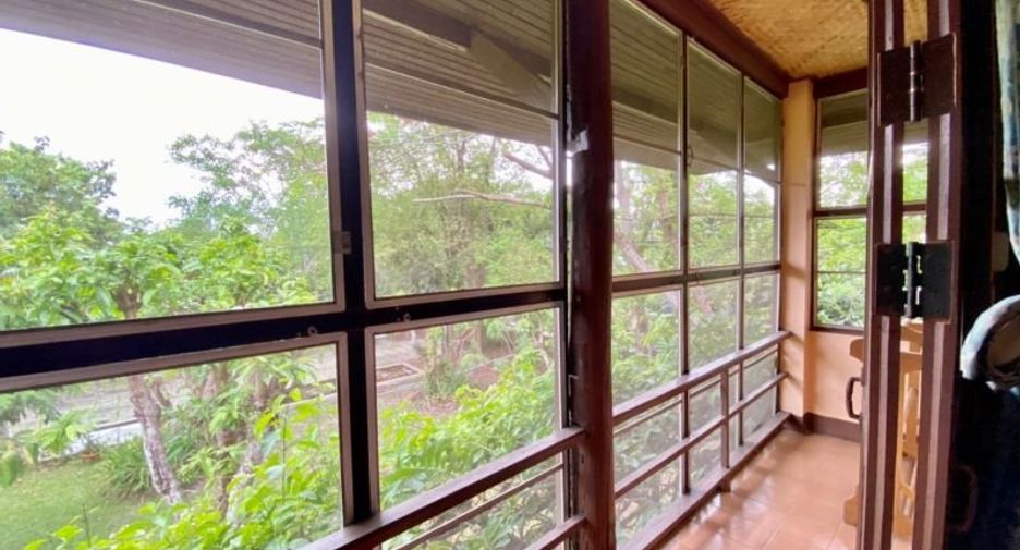 Grundstück zum Kauf in San Pa Tong, Chiang Mai