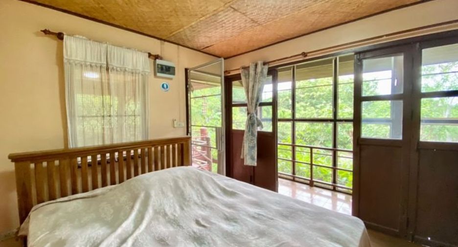 Grundstück zum Kauf in San Pa Tong, Chiang Mai