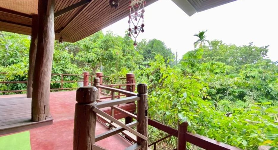 Grundstück zum Kauf in San Pa Tong, Chiang Mai