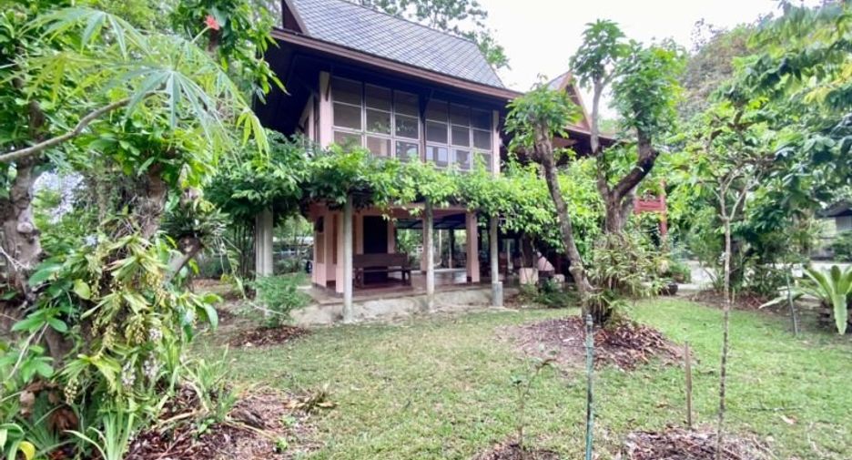 Grundstück zum Kauf in San Pa Tong, Chiang Mai