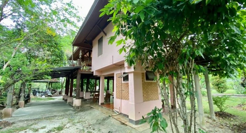 Grundstück zum Kauf in San Pa Tong, Chiang Mai