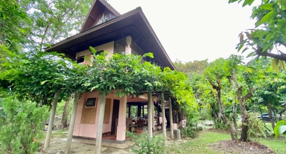 Grundstück zum Kauf in San Pa Tong, Chiang Mai