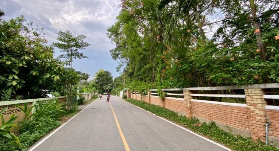 Grundstück zum Kauf in San Pa Tong, Chiang Mai