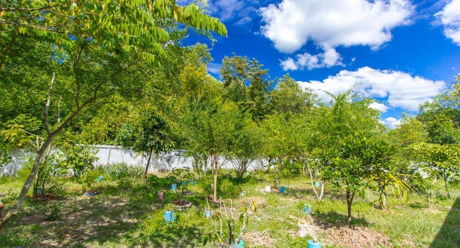 For sale 2 bedrooms house in Warin Chamrap, Ubon Ratchathani