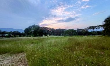 ขาย ที่ดิน ใน ชะอำ, เพชรบุรี
