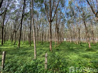 For sale land in Thalang, Phuket