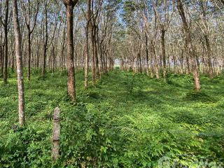 For sale land in Thalang, Phuket