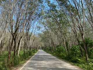 For sale land in Thalang, Phuket