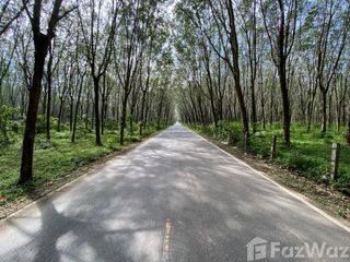 For sale land in Thalang, Phuket