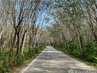 For sale land in Thalang, Phuket