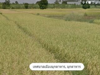 For sale land in Mueang Mukdahan, Mukdahan