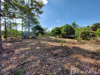 For sale land in Saraphi, Chiang Mai