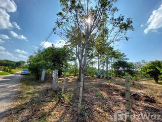 For sale land in Saraphi, Chiang Mai