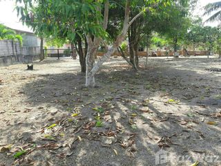 For sale land in Mueang Phuket, Phuket