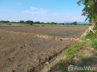 For sale land in Phan, Chiang Rai