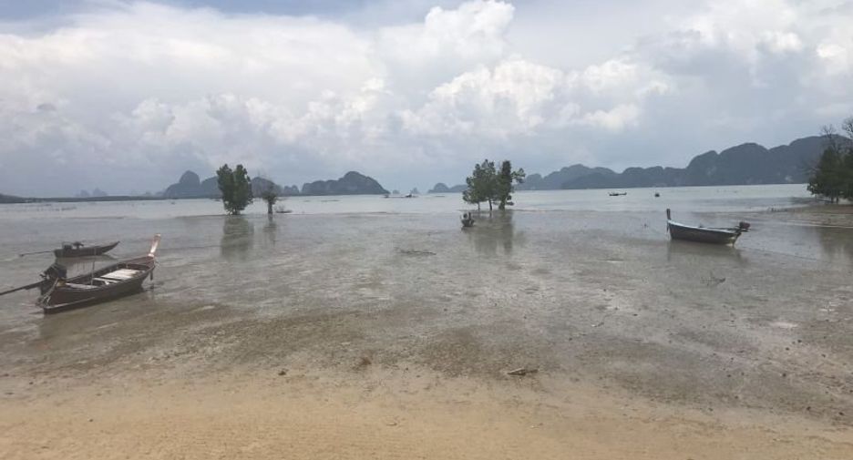 For sale land in Takua Thung, Phang Nga