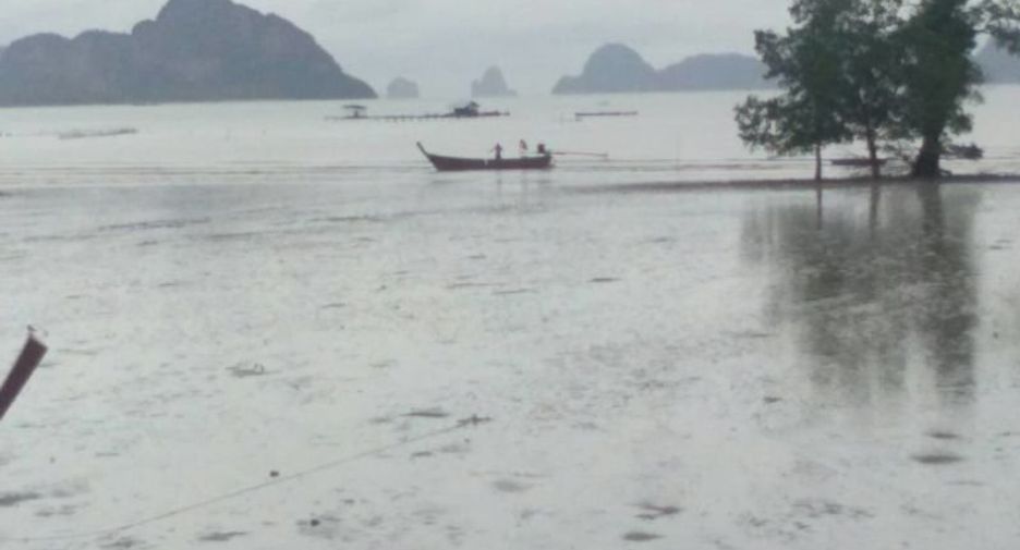 For sale land in Takua Thung, Phang Nga