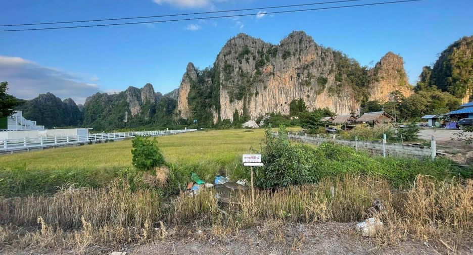 For sale land in Noen Maprang, Phitsanulok