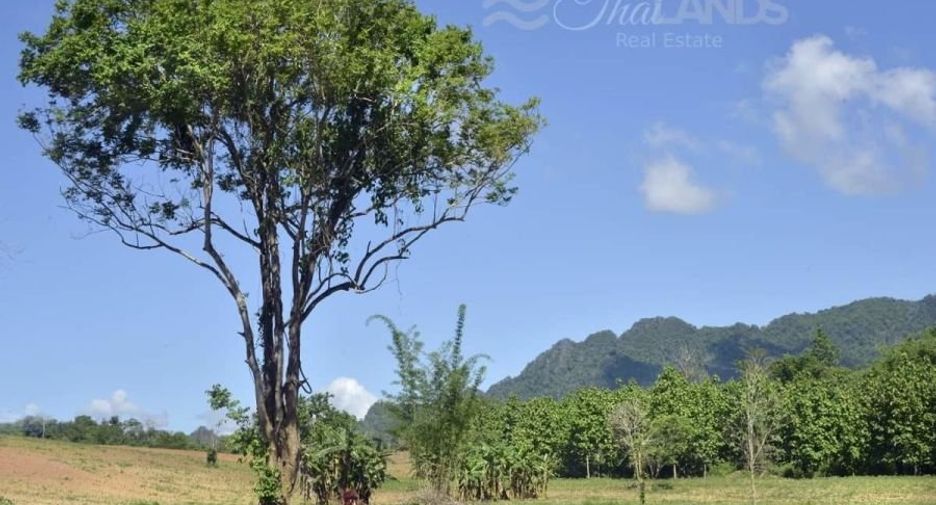 Terreno en venta en Thong Pha Phum, Kanchanaburi