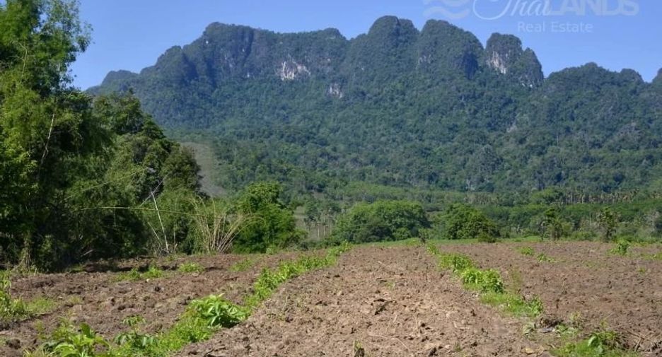 Terreno en venta en Thong Pha Phum, Kanchanaburi