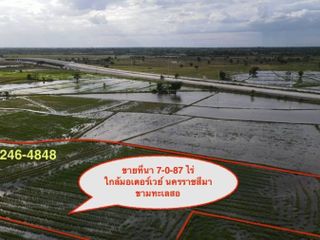 For sale land in Kham Thale So, Nakhon Ratchasima