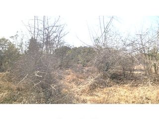 出售 土地 在 Ban Hong, Lamphun