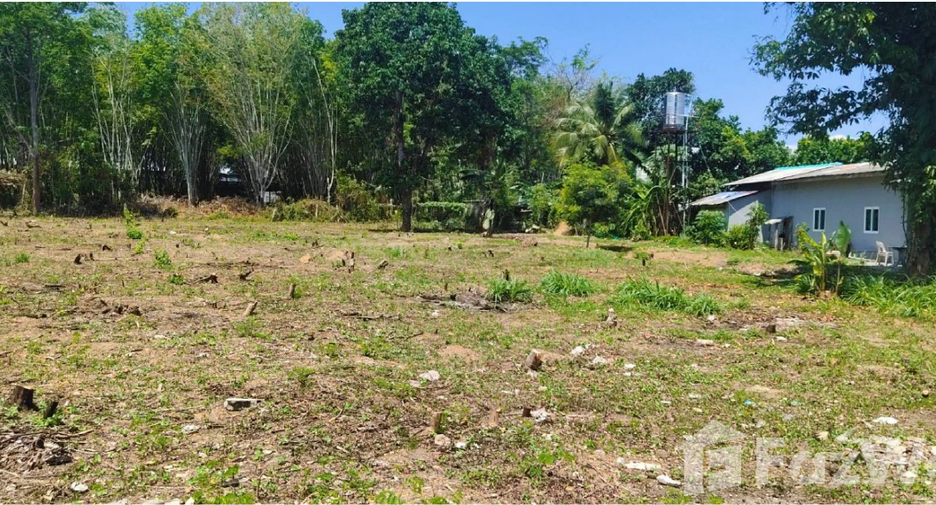 For sale land in Mueang Phuket, Phuket