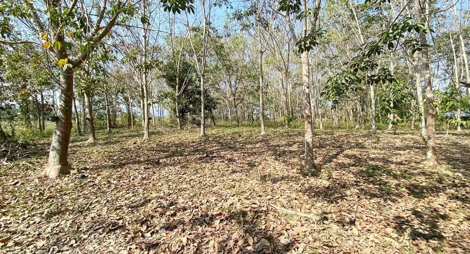 For sale land in Wiang Pa Pao, Chiang Rai