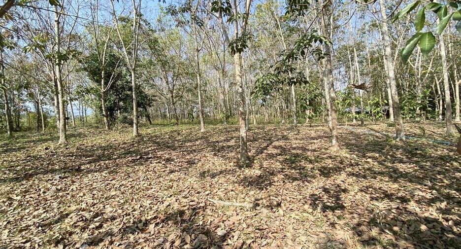For sale land in Wiang Pa Pao, Chiang Rai