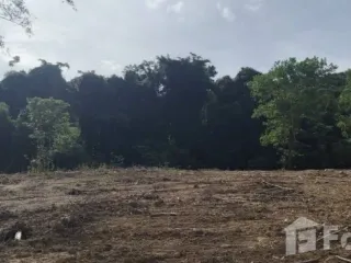 For sale land in Thalang, Phuket