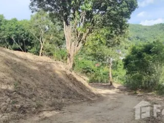 For sale land in Thalang, Phuket