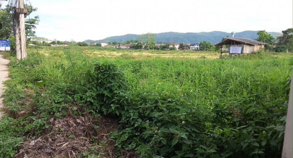 For sale land in Mueang Chiang Rai, Chiang Rai