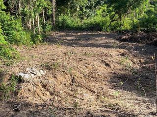 For sale land in Mueang Ranong, Ranong