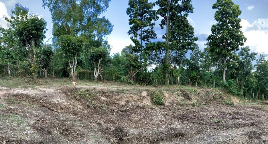 For sale land in Hang Dong, Chiang Mai