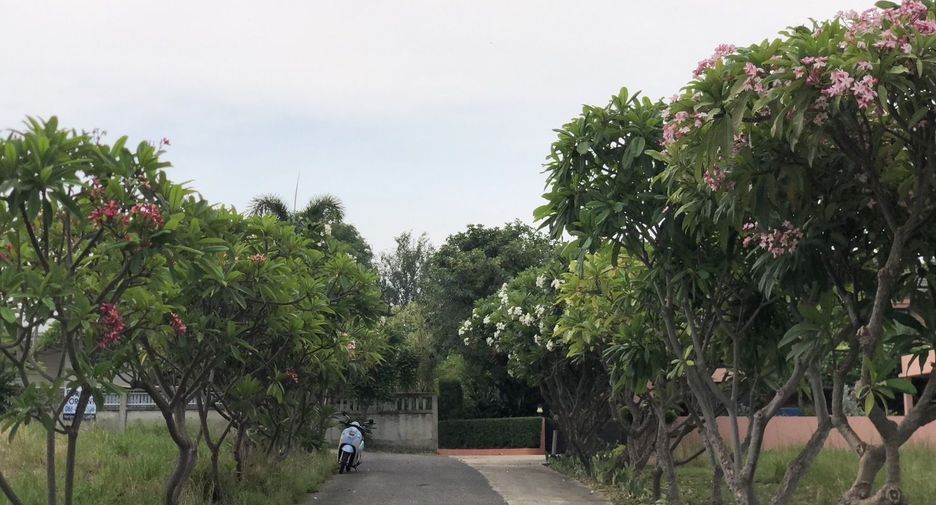For rent 3 bed house in Cha Am, Phetchaburi