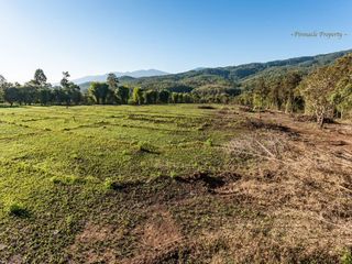 出售 土地 在 Mae Rim, Chiang Mai