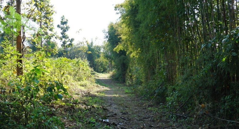 À vendre terrain à Mae Rim, Chiang Mai
