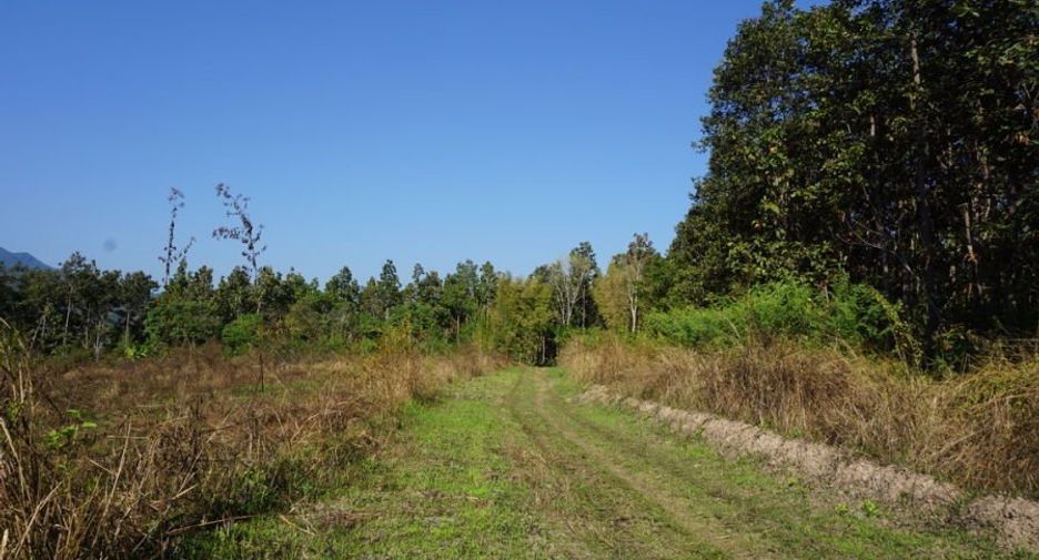 À vendre terrain à Mae Rim, Chiang Mai