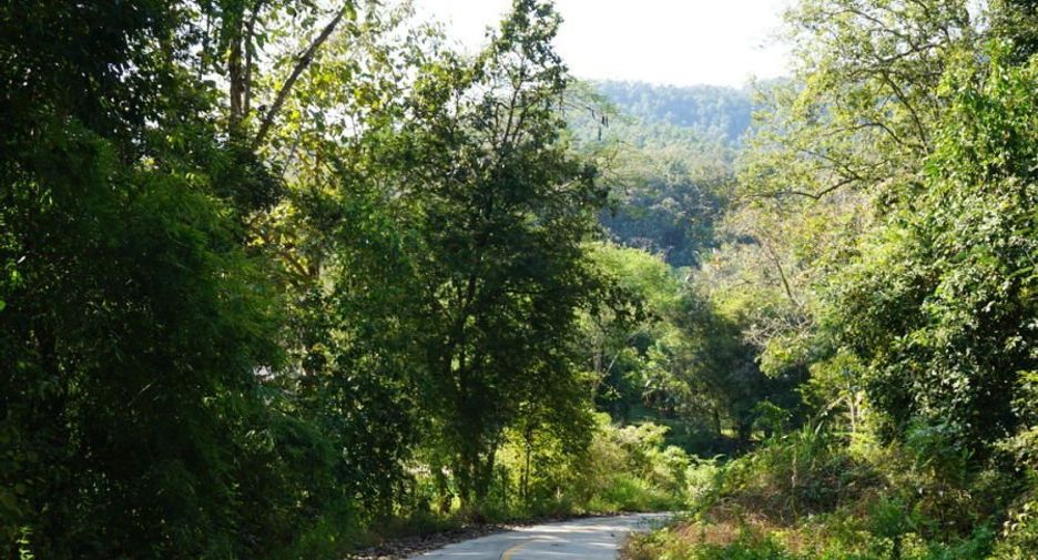 À vendre terrain à Mae Rim, Chiang Mai