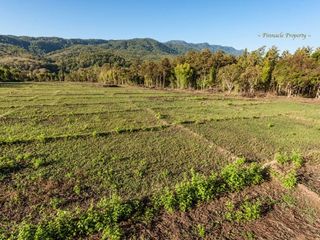 出售 土地 在 Mae Rim, Chiang Mai
