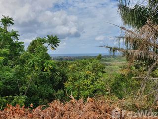 For sale land in Thalang, Phuket